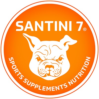 santini 7 logo our journey