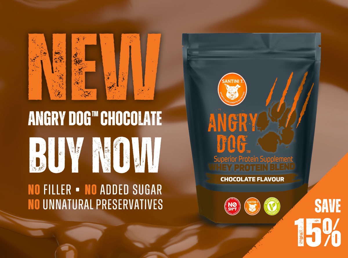 angry dog chocolate news