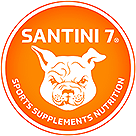 santini 7 sports logo