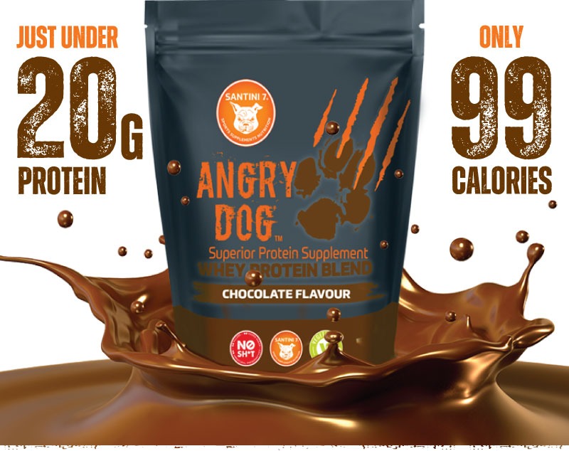 angry dog chocolate whey protein 99 calories