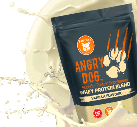 angry dog vanilla whey protein splash